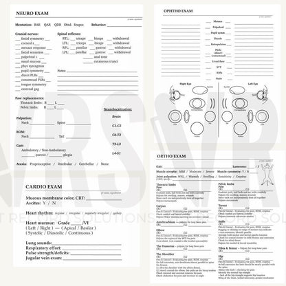 Specialty Exam Templates