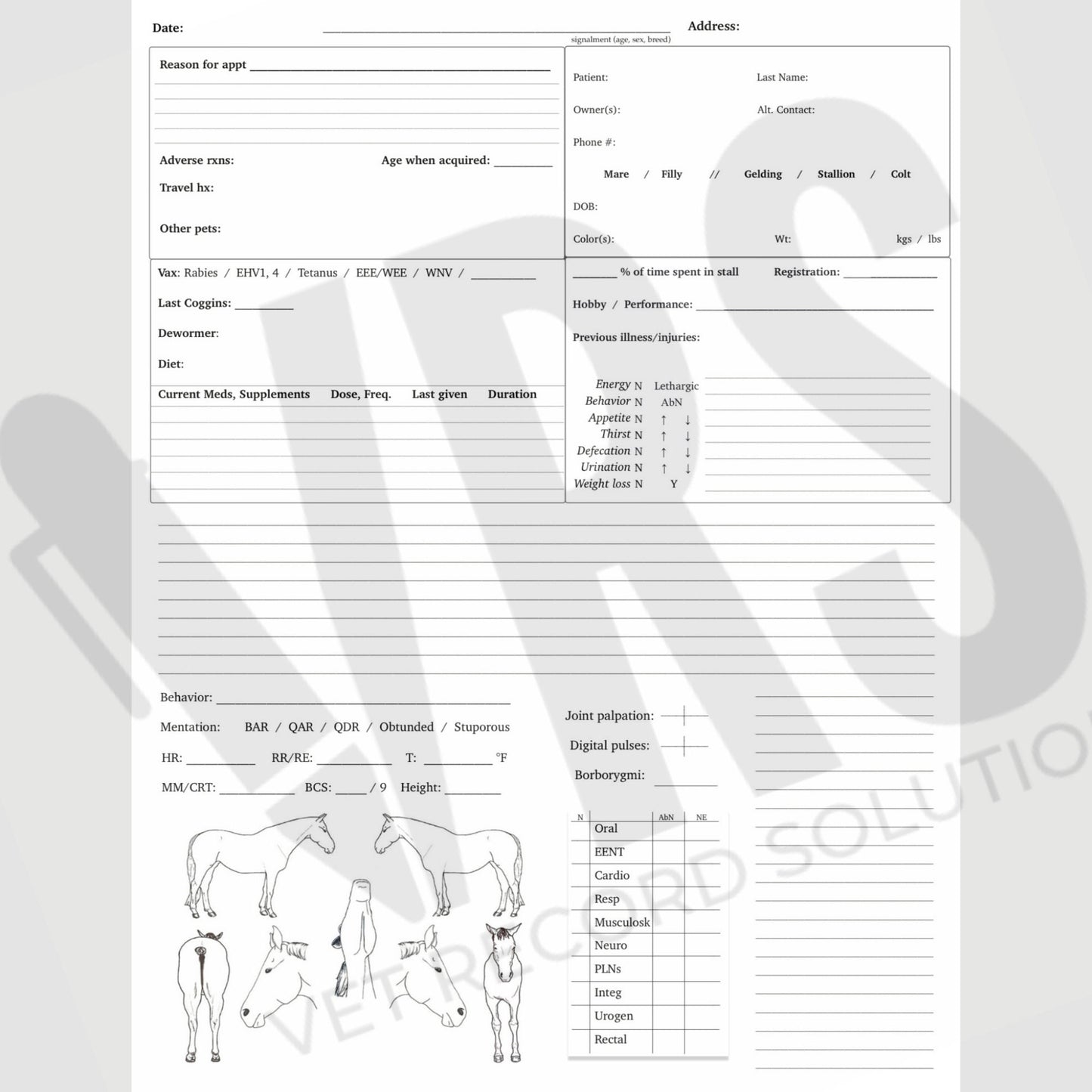 Equine SOAP Template
